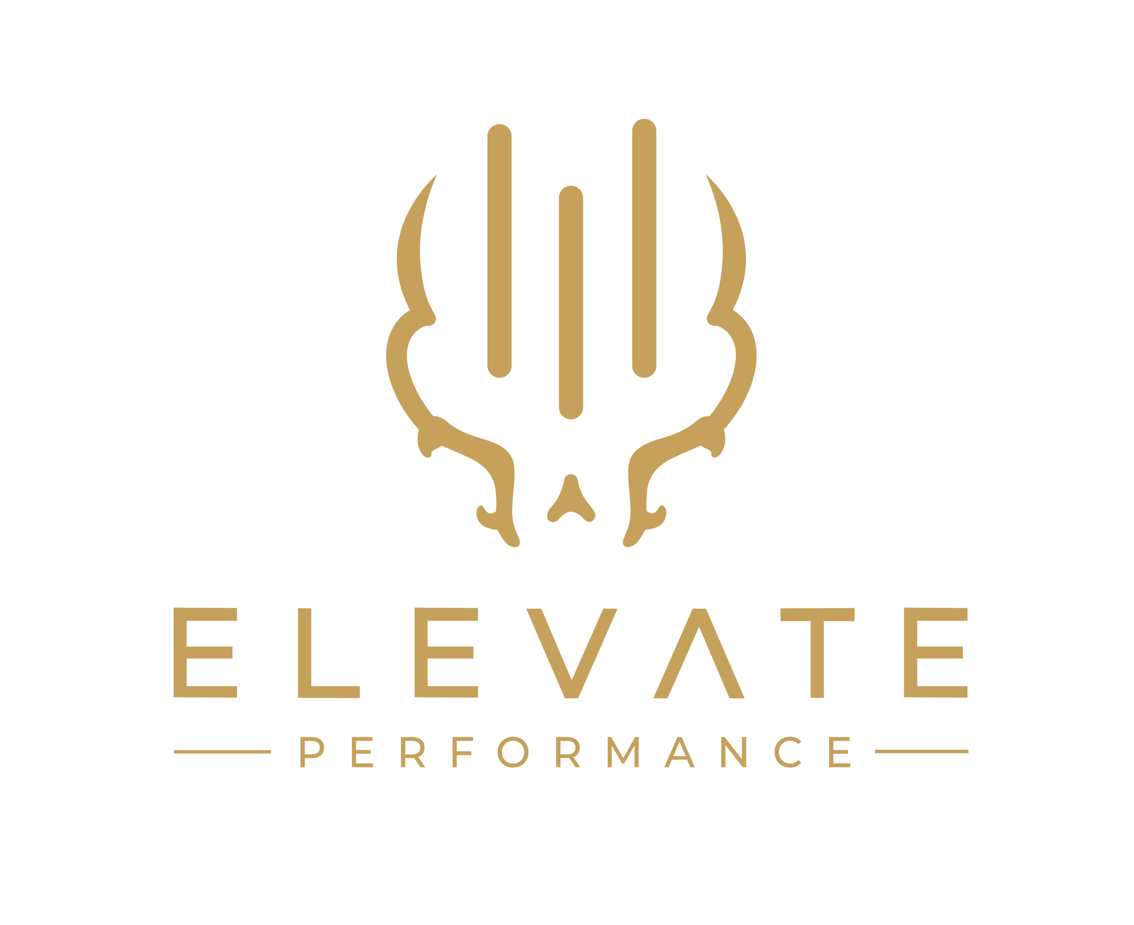 Elevate My Everyday 
